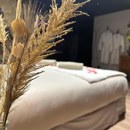Homesuiteandspa 住宿加早餐酒店 Flers-en-Escribeus